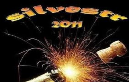 silvestr sampus_286_x_450