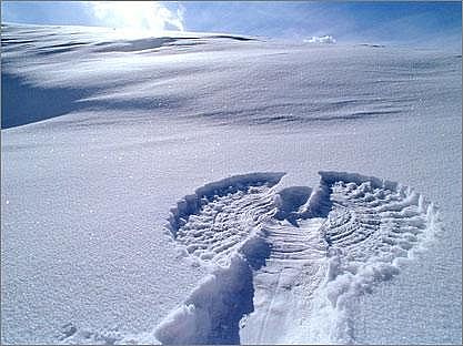 snow-angel
