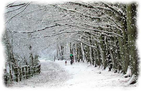 snow-scene-finish1