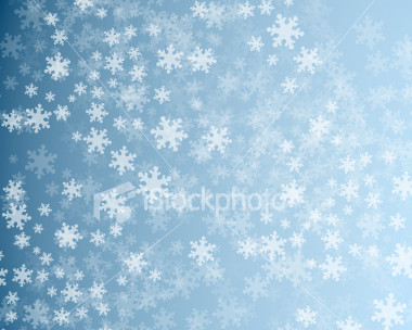 user63887_pic33495_1233706392