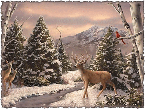 winter-1179